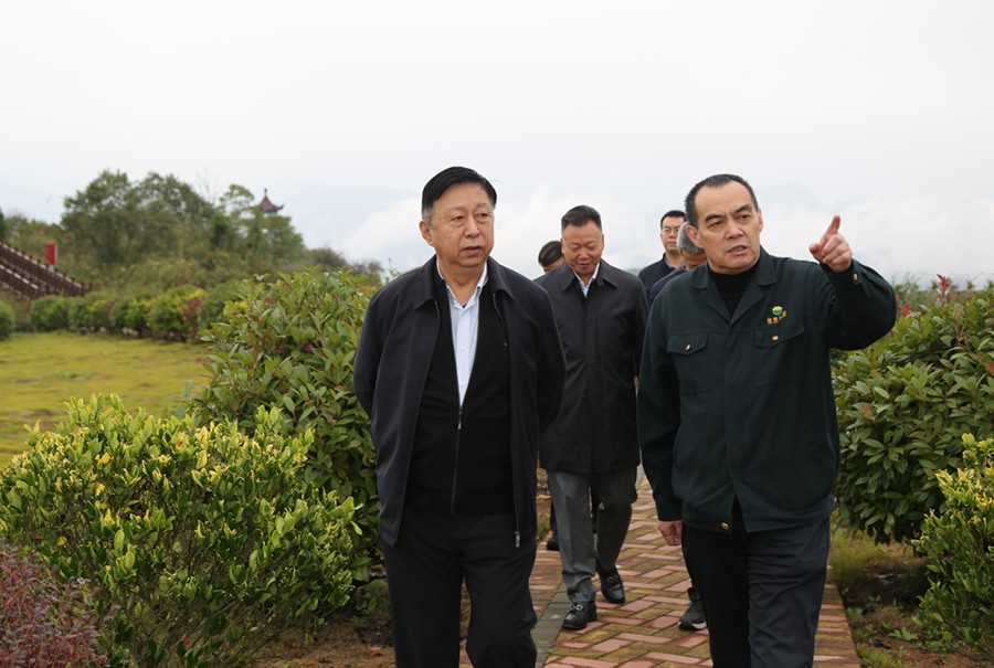 19-2021年10月，原國土資源部副部長汪民蒞臨公司調(diào)研。.jpg