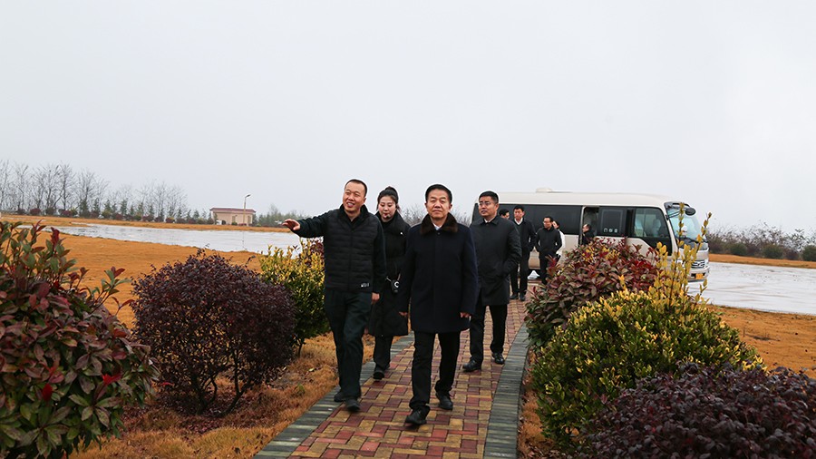 45-2020年12月，省高級人民法院黨組成員、副院長任建國蒞臨金徽股份調(diào)研知識產(chǎn)權(quán)司法保護工作。.jpg