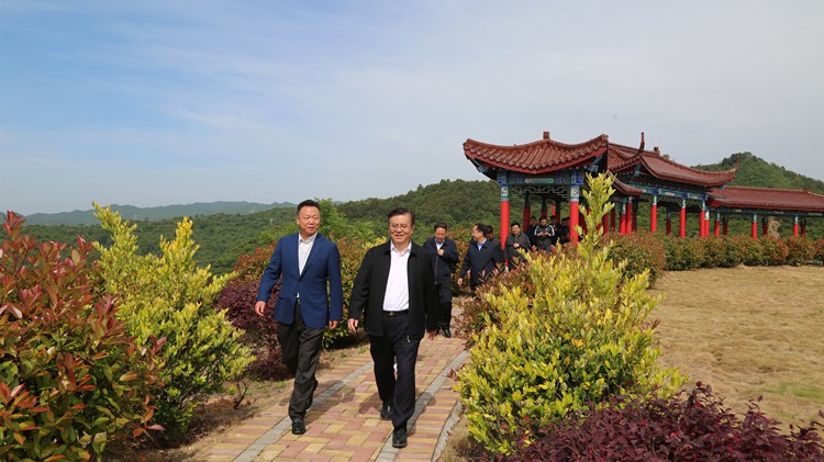 省人民檢察院黨組書記、檢察長朱玉調(diào)研金徽股份